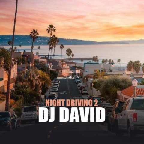 دی جی دیوید - Night Driving 2